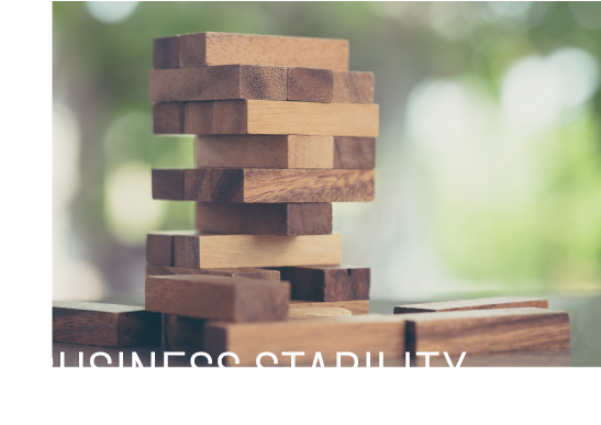 business-stability